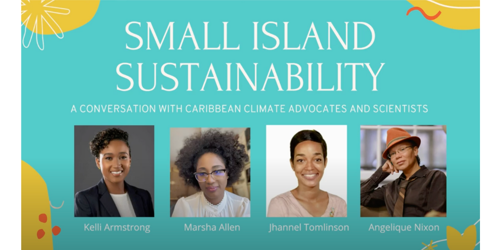 Small Island Sustainability